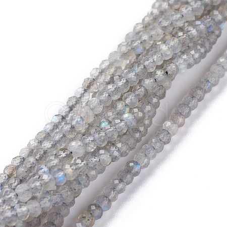 Natural Labradorite Beads Strands G-A026-C03-1