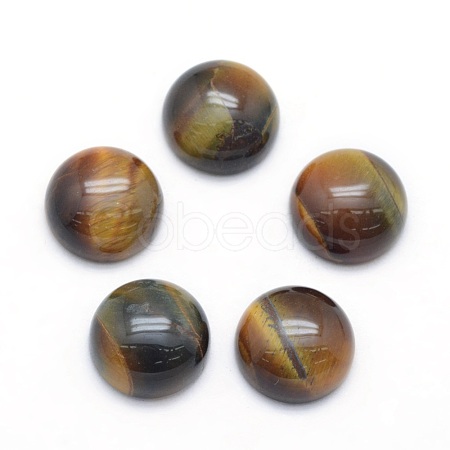 Natural Tiger Eye Cabochons X-G-P393-R12-10mm-1