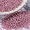 MIYUKI Round Rocailles Beads, Japanese Seed Beads, (RR555) Dyed Rose Silver Lined Alabaster, 15/0, 1.5mm, Hole: 0.7mm, about 5555pcs/bottle, 10g/bottle