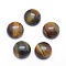 Natural Tiger Eye Cabochons, Half Round, 10x4~5mm