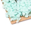 Dried Flower DIY-B018-07-2