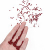 11/0 FGB Grade A Baking Paint Glass Seed Beads X-SEED-N001-A-1060-4