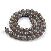 Grade AA Natural Gemstone Labradorite Round Beads Strands G-E251-33-8mm-5