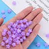 Imitation Jelly Acrylic Beads MACR-S373-45-E04-6