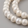 Natural Cultured Freshwater Pearl Beads Strands PEAR-G007-27-01-3