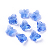 Transparent Glass Beads GLAA-P037-02A-26-1
