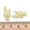 Ocean Alloy Pendants FIND-Z108-02LG-01-3