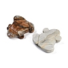 Natural Picasso Jasper Carved Beads G-K383-17E-2