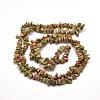 Natural Unakite Chip Bead Strands X-G-M205-52-2