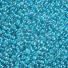 11/0 FGB Grade A Transparent Glass Seed Beads X-SEED-N001-E-314-2
