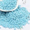 Baking Paint Glass Seed Beads SEED-A033-05P-1