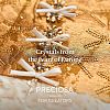 Preciosa&reg MAXIMA Crystal Round Stones Y-PRC-RBSS45-90090-5