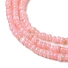 Natural Freshwater Shell Beads Strands SHEL-P017-01B-09-3