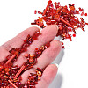 Glass Seed Beads SEED-S059-007-4