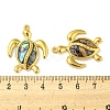 Natural Paua Shell Pendants STAS-P341-02G-01-3