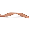 Single Face Satin Ribbon RC10mmY-0071-5