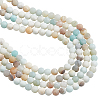 2 Strands Natural Flower Amazonite Beads Strands G-NB0006-06-6