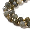 Natural Labradorite Beads Strands G-P508-A20-01-4