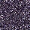 MIYUKI Delica Beads SEED-X0054-DB1244-3