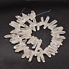 Natural Quartz Crystal Beads Strands G-A142-06E-2