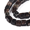 Natural Biotite Beads Strands G-T140-39A-3