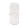 Natural Selenite Figurines DJEW-Q006-01I-1