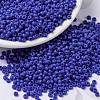 MIYUKI Round Rocailles Beads X-SEED-G008-RR0417-1