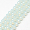 Baking Paint Glass Beads Strands X-DGLA-Q023-6mm-DB1-1