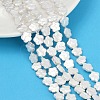 Electroplate Shell Pearl Beads Strands BSHE-Z009-07-01-1