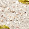 Natural Conch Shell Beads SSHEL-FH0001-05-4