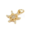 Brass Micro Pave Cubic Zirconia Charms LS-KK-H077-02G-04-2
