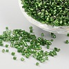 Two Cut Glass Seed Beads X-CSDB27-1