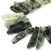 Natural Prehnite Beads Strands G-L551B-12-3