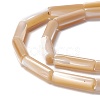 Natural Trochid Shell/Trochus Shell Beads SSHEL-O001-26A-2