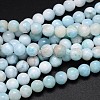 Natural Larimar Round Beads Strands G-O087-10-8mm-1