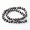 Frosted Round Natural Map Stone/Picasso Stone/Picasso Jasper Bead Strands G-J346-04-8mm-2