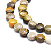 Natural Bumblebee Jasper Beads Strands G-E569-G01-3