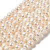 Natural Cultured Freshwater Pearl Beads Strands PEAR-E017-03-1