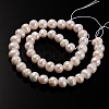Natural Cultured Freshwater Pearl Beads Strands PEAR-E002-39-01-2