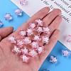 Transparent Acrylic Beads TACR-S152-02A-703-5