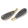 Natural Labradorite Pendants G-Q192-07G-06-2