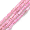 Natural Freshwater Shell Beads Strands SHEL-G013-02-2