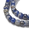 Natural Sodalite Beads Strands G-G0005-A01-4