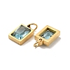 PVD Vacuum Plating 304 Stainless Steel Pendants STAS-D189-03G-B03-3