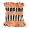 10 Skeins 6-Ply Polyester Embroidery Floss OCOR-K006-A24-1