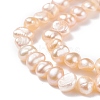 Natural Cultured Freshwater Pearl Beads Strands PEAR-P002-53D-6