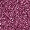 TOHO Round Seed Beads SEED-JPTR11-PF0563-2