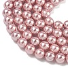 Electroplated Shell Pearl Beads Strands BSHE-G041-6mm-05-3