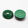 Natural Malachite Cabochons G-O146-03G-2