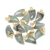 Natural Labradorite Pointed Pendants G-Q966-02-1